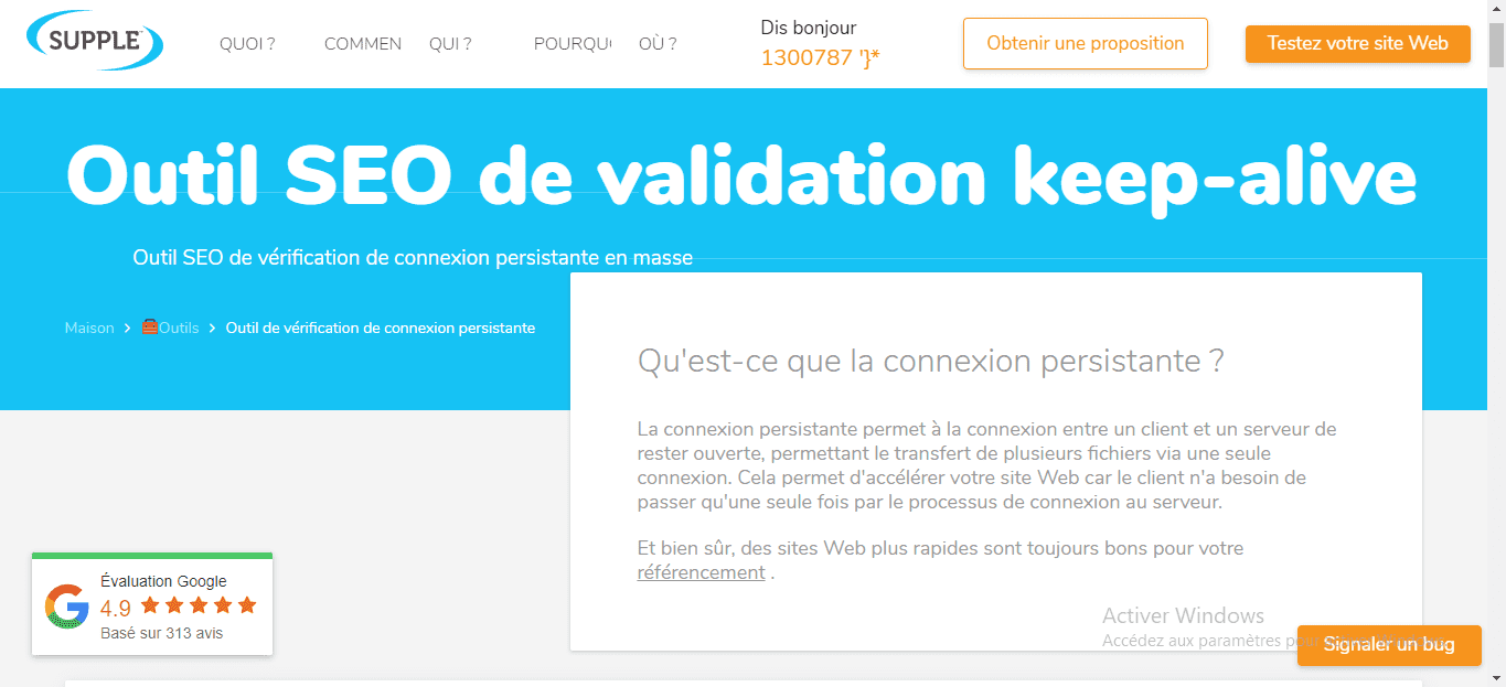 Outil SEO de validation keep alive