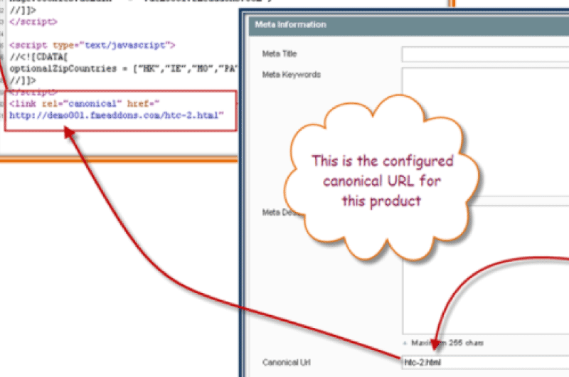 Canonical Urls Magento FME Addons Outil seo 2
