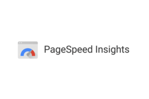 PageSpeed Insights Google Logo