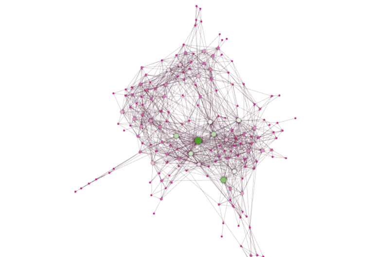 Gephi Outil SEO 4