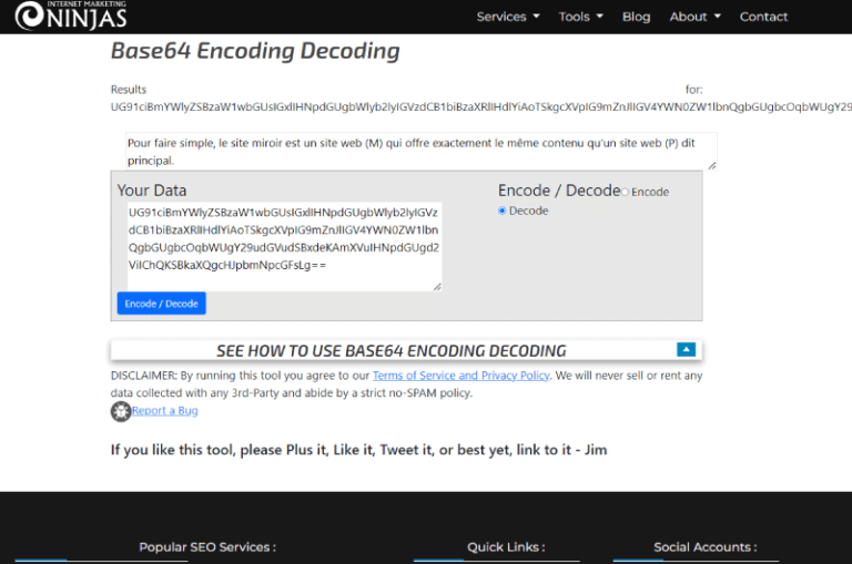 Base64 Encoding Decoding Marketing Ninjas Outil SEO 4