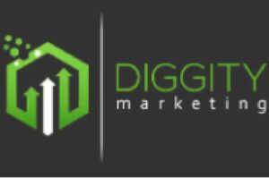 Blog Diggity Marketing logo