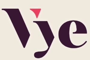 Blog Vye Marketing Web Logo