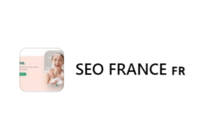 SEO FRANCE Logo