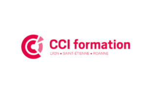 Le-référencement-naturel-niveau-avancé-CCI-Formation-Logo