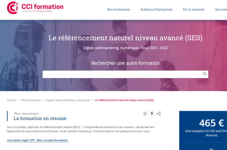 Le-référencement-naturel-niveau-avancé-CCI-Formation-Mise-en-avant