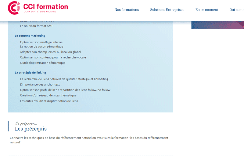 Le-référencement-naturel-niveau-avancé-CCI-Formation-ressource-SEO-3