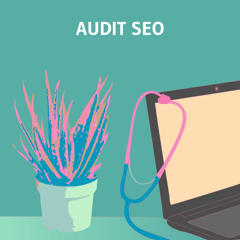 Audit SEO