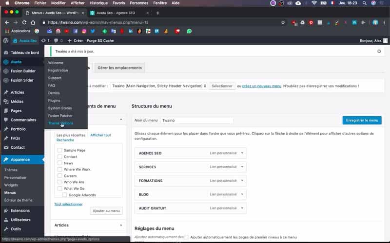 Se rendre sur theme option