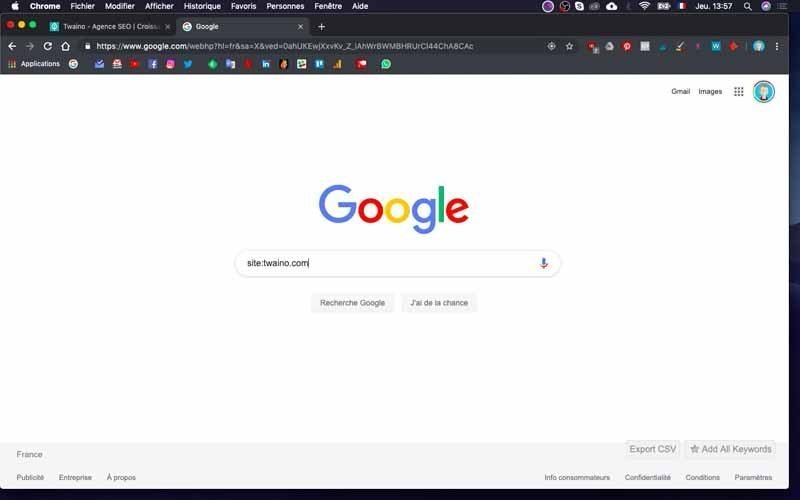 Rentre site twaino.com dans Google