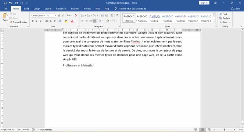 Microsotf Word Compteur de mot 1