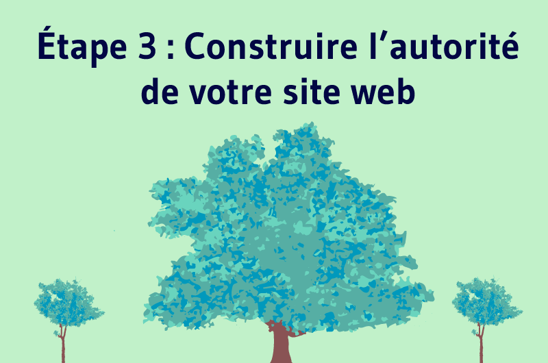 Étape 3 : Construire l'autorité de votre site web