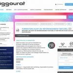 Ziggourat Formation audit