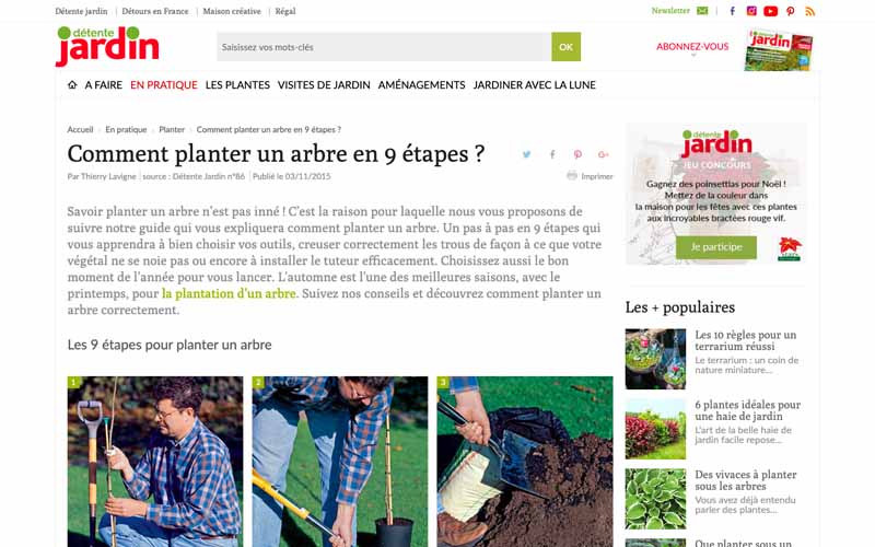 Résutat Google pour comment planter un arbre