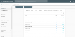Google Search Console montre les requetes que les internautes utilisent pour atterir sur mon site web