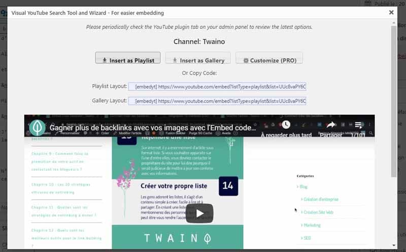 Regler l apercu de la chaine a integrer avec le Plugin YouTube Embed