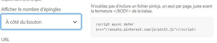 Inclure le fichier pour le bouton Pinterest