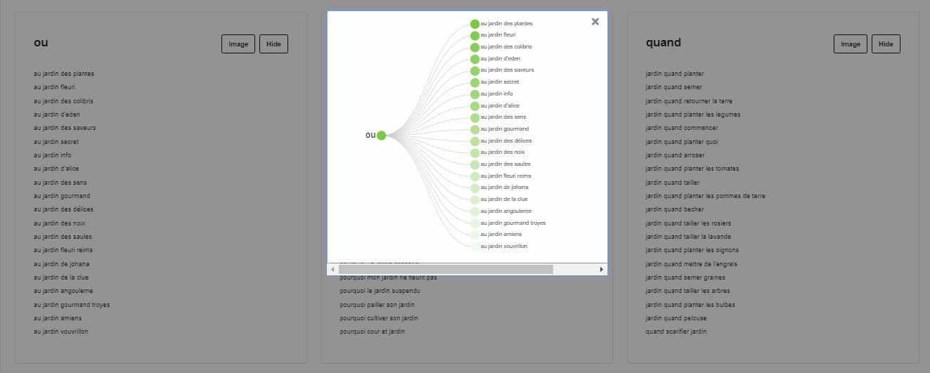 Afficher le mindmap avec Answer the public