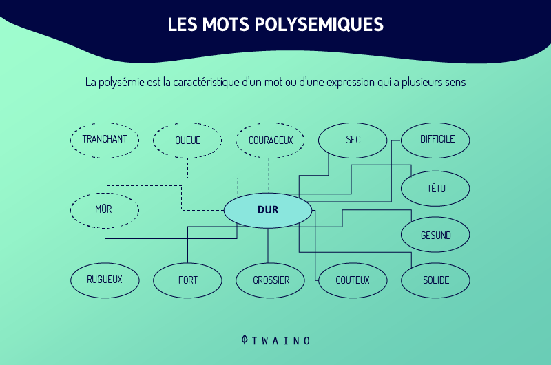 Les mots polysemiques