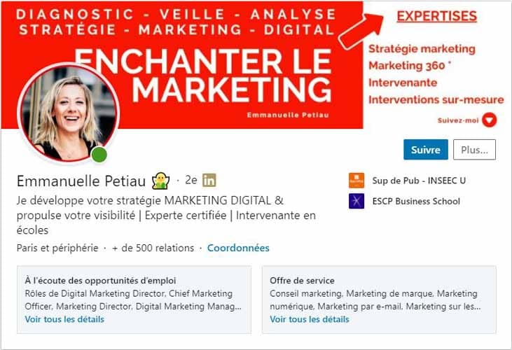 Profil LinkedIn Emammuelle Petiau