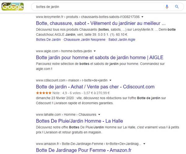 Exemple de SERP