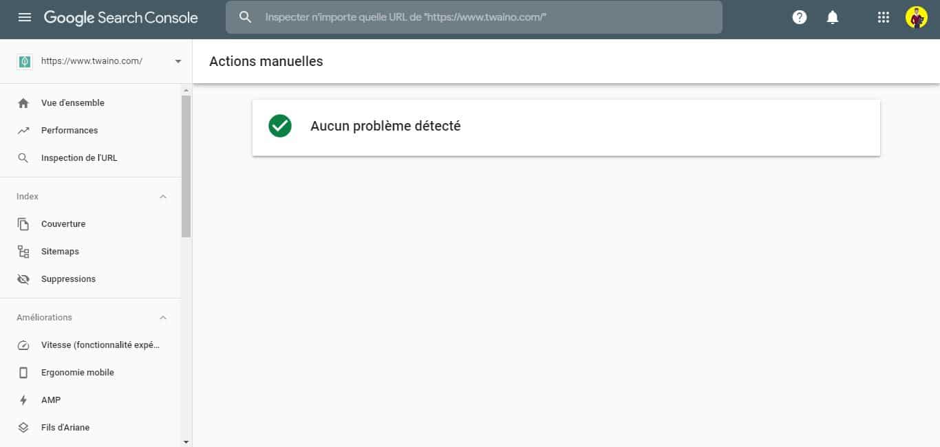 Verifier actions manuelles dans la Search Console