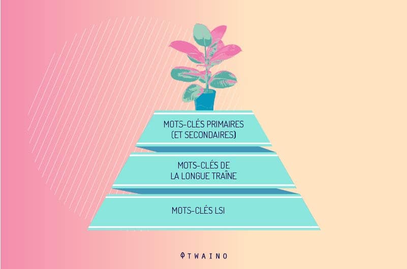 Classement des types de mots cles