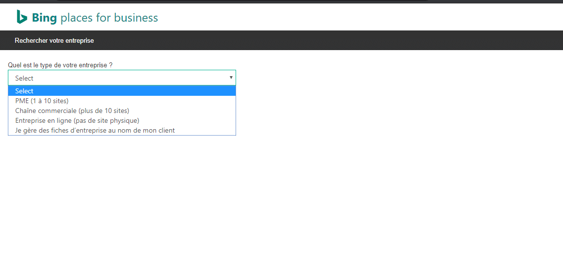 selectionner le type de business local SEO