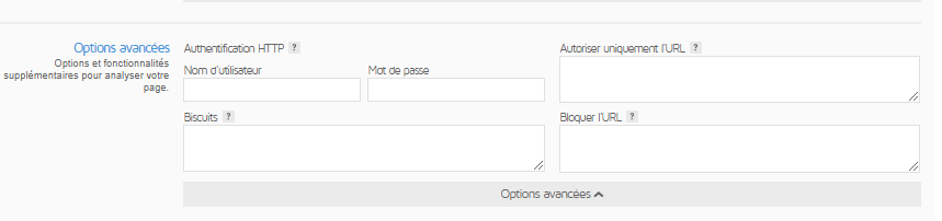 ‌options‌ ‌avancees‌ ‌de‌ ‌GTmetrix‌