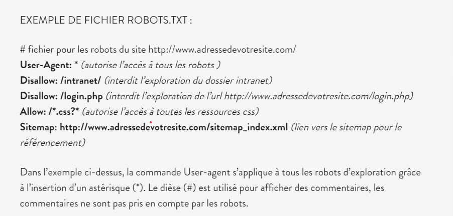 Un exemple de fichier robots txt