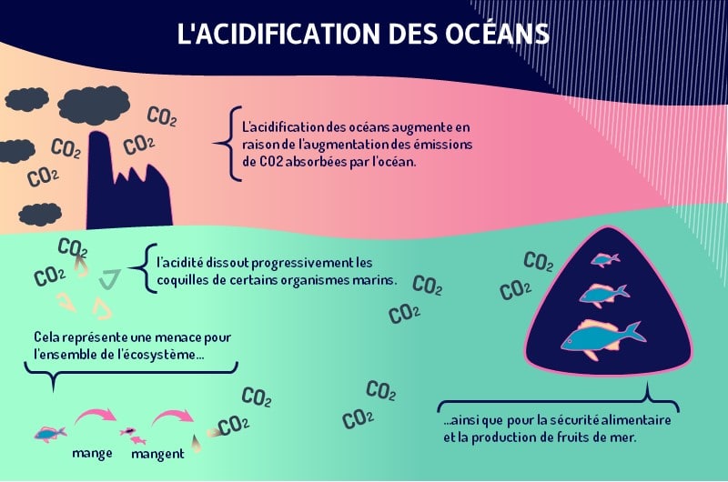 L acidite au niveau des oceans