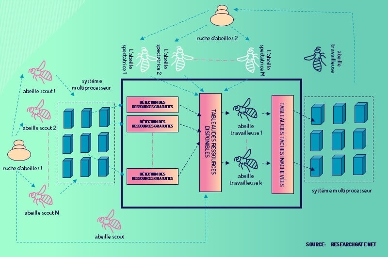 Le role de chaque organisme