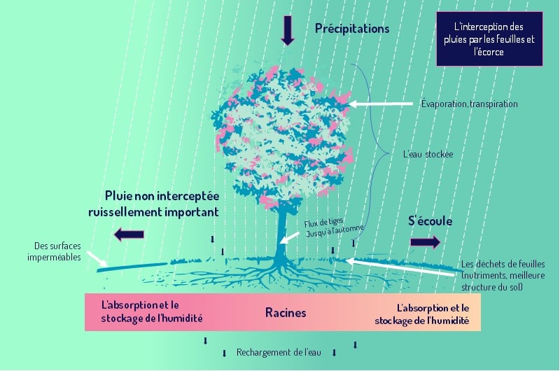 l erosion et de l pollution de nos cours d eau