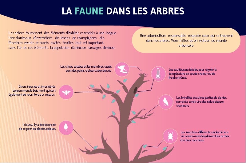 L habitat naturel de nombreuses especes sauvages