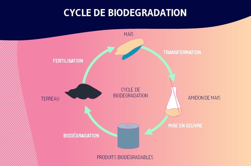 Le plastique d origine vegetale