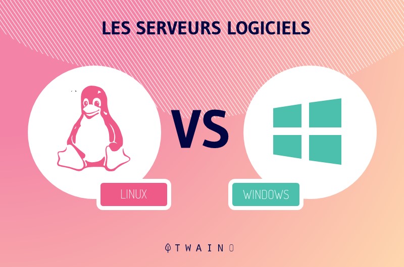 Que sont les serveurs logiciels