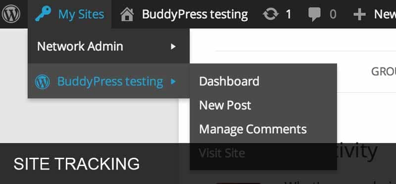 BuddyPress Testing