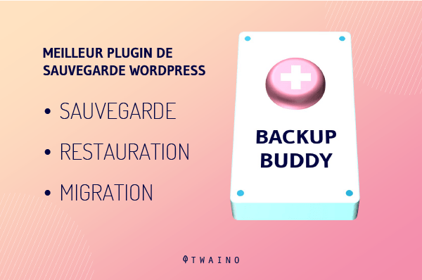 Meilleur plugin de sauvegarde wordpress