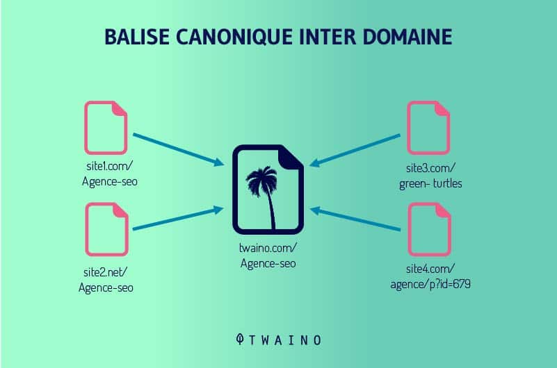 balise canonique inter domaine