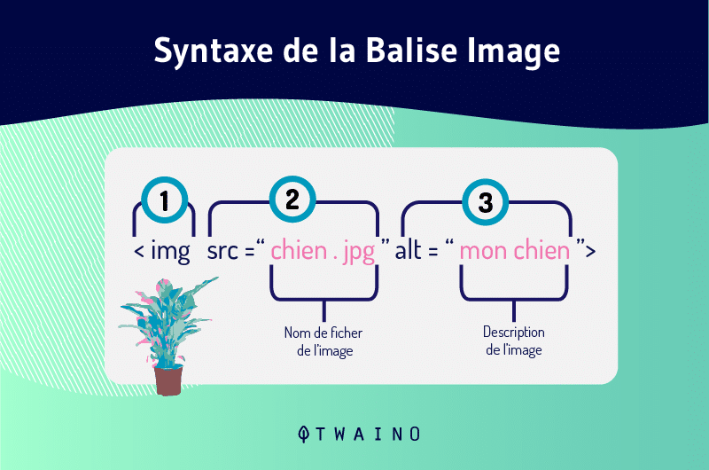 Syntaxe de la Balise Image