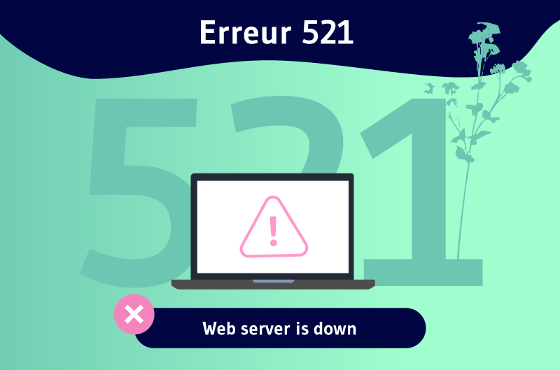 Erreur 521