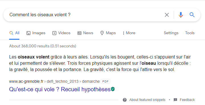 Comment les oiseaux volent