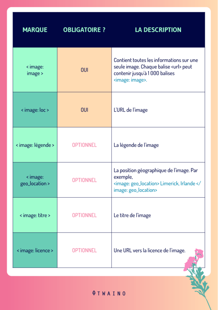 Consignes-relatives-au-plan-du-site-d-image.png