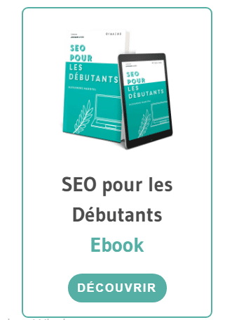 SEO pour les debutants ebook