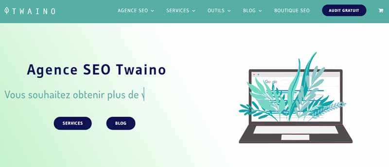 Agence seo twaino