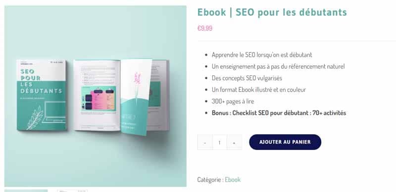 Ebook seo pour les debutants