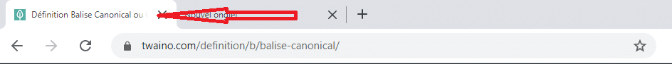 Definition Balise Canonical