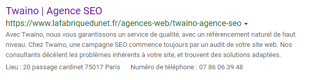 Bing Twaino agence seo
