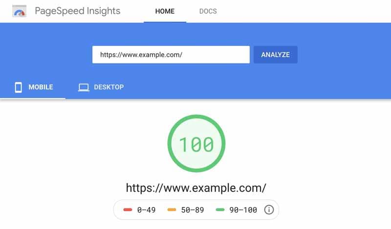 PageSpeed Insights Score 100