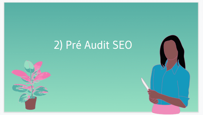 Pre audit SEO